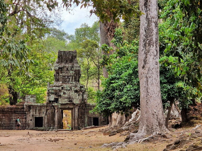 Weg zur Elefanten-Terrasse